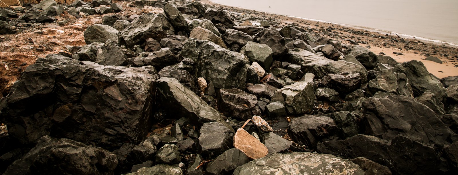 art-of-sandy-mo-staten island 2-65.jpg